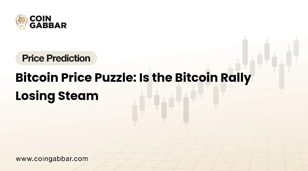 Bitcoin Price Puzzle: Is the Bitcoin Rally Losing Steam