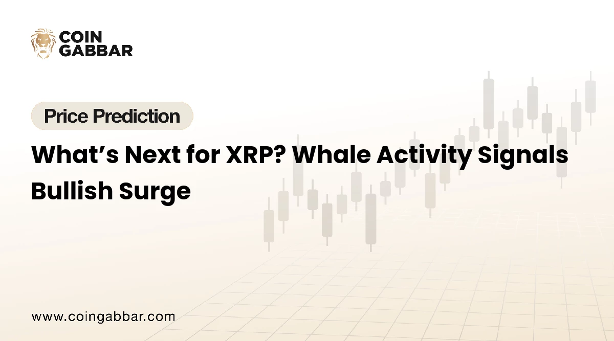 What’s Next for XRP? Whale Activity Signals Bullish Surge