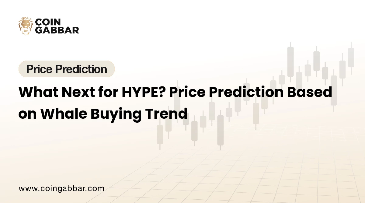Hyperliquid Hype Coin Price Prediction