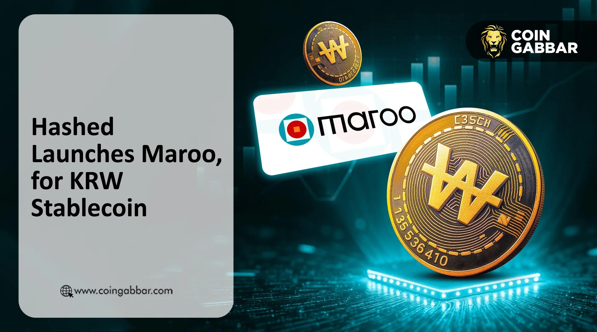 Hashed Reveals Maroo