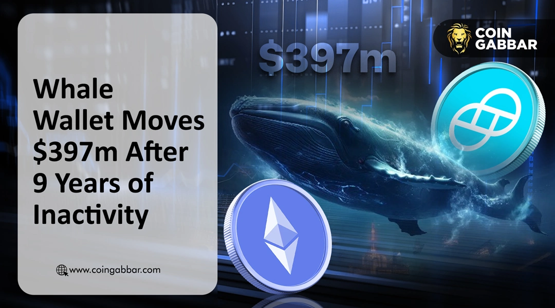 Whale Wallet Moves $397m
