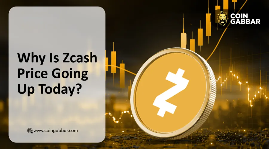 Why Is Zcash Pumping Today vs Monero