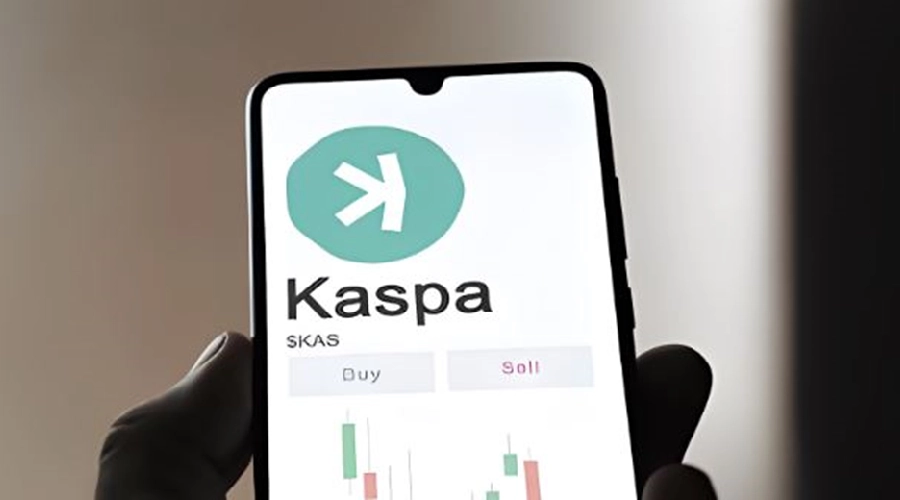 Kaspa Whale Investor Maximize