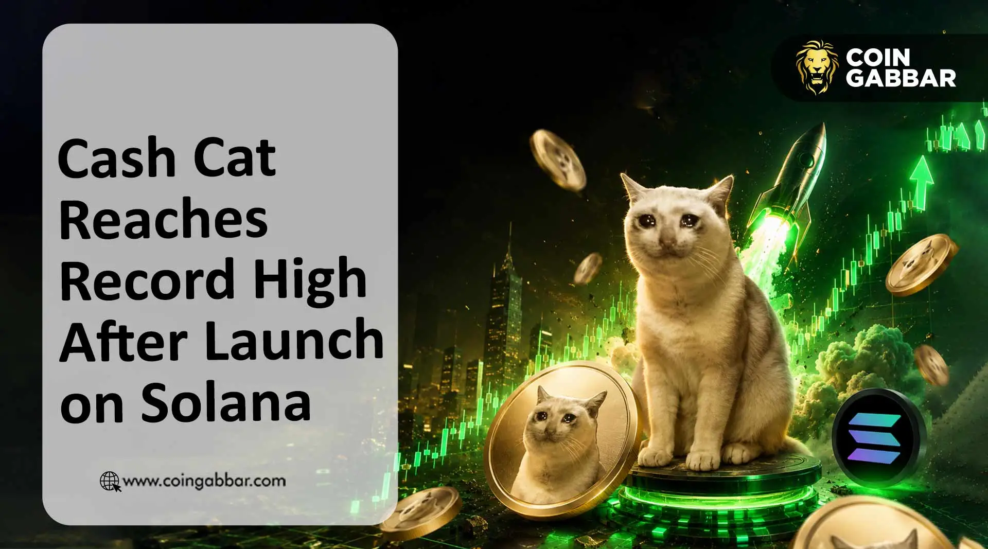 Cash Cat News: CASHCAT Coin Hits New All-Time High After Solana Launch