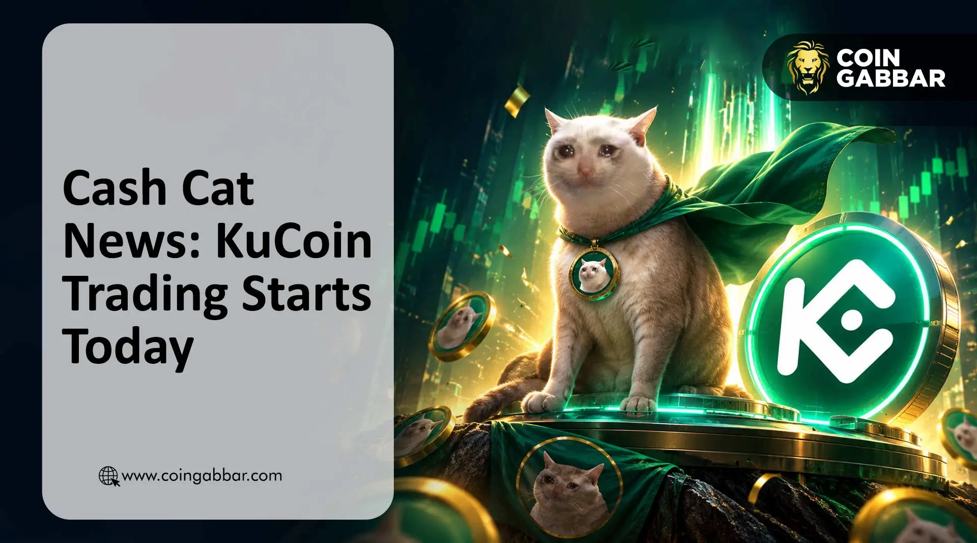 Cash Cat News: CASHCAT KuCoin listing and price crash
