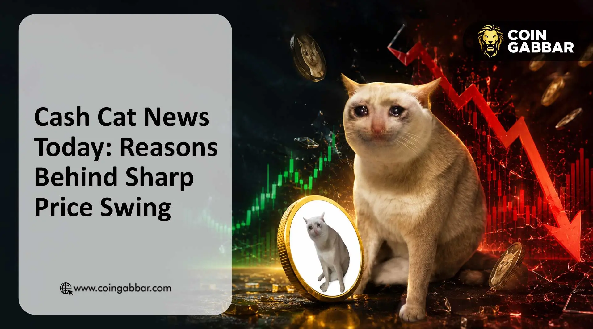 Cash Cat News: Why CASHCAT Price Is Crashing Today?