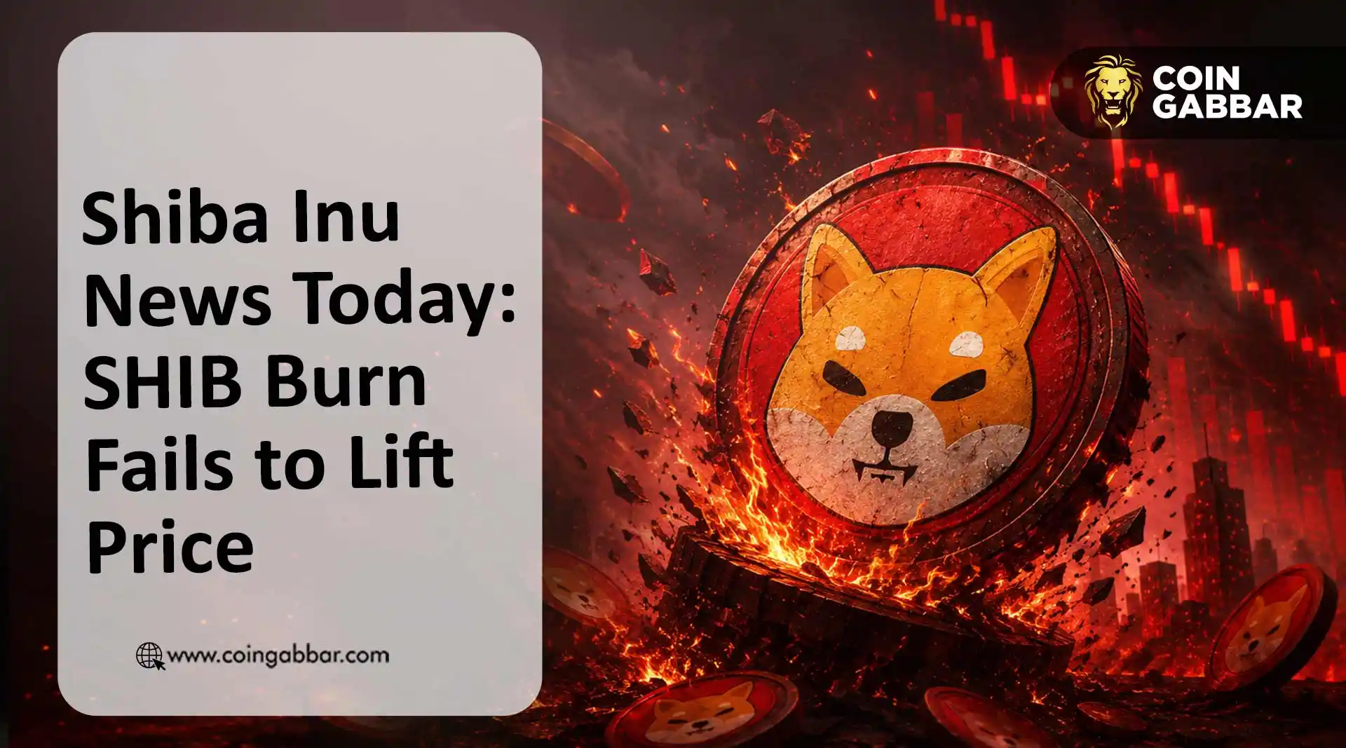 Shiba Inu news today SHIB burn impact and price decline