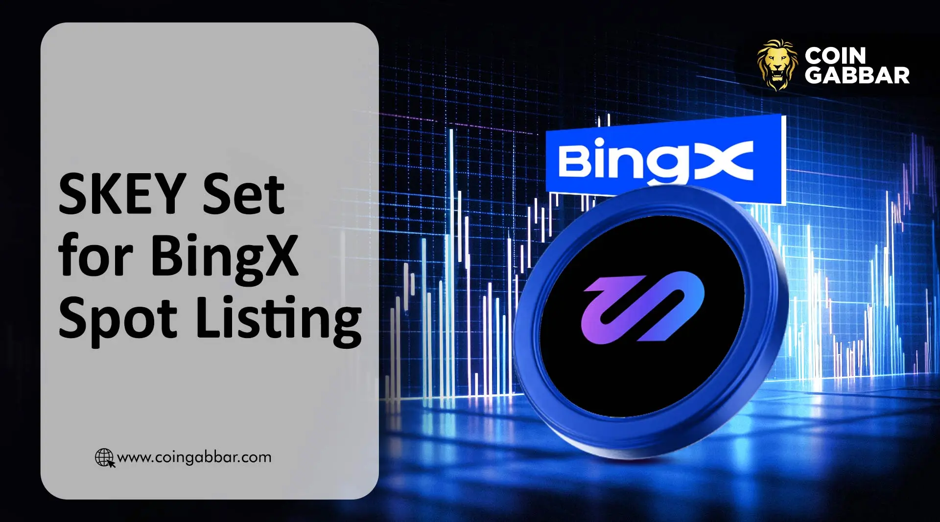 skey network set for binx spot listing