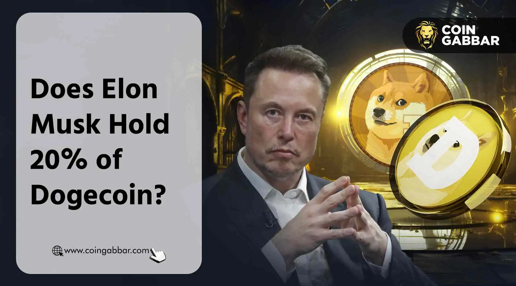 Cardano Founder Questions Elon Musk's Dogecoin Holdings