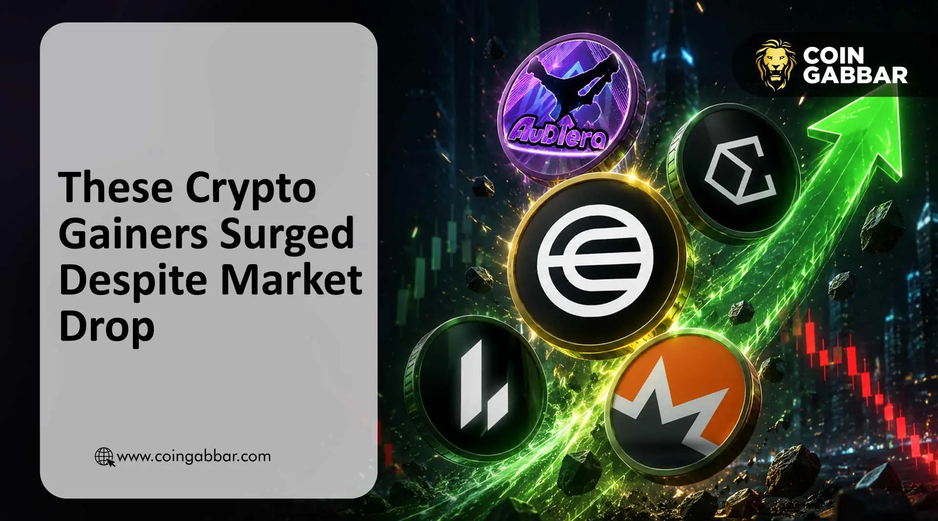These Crypto Gainers Surged Despite Market Drop