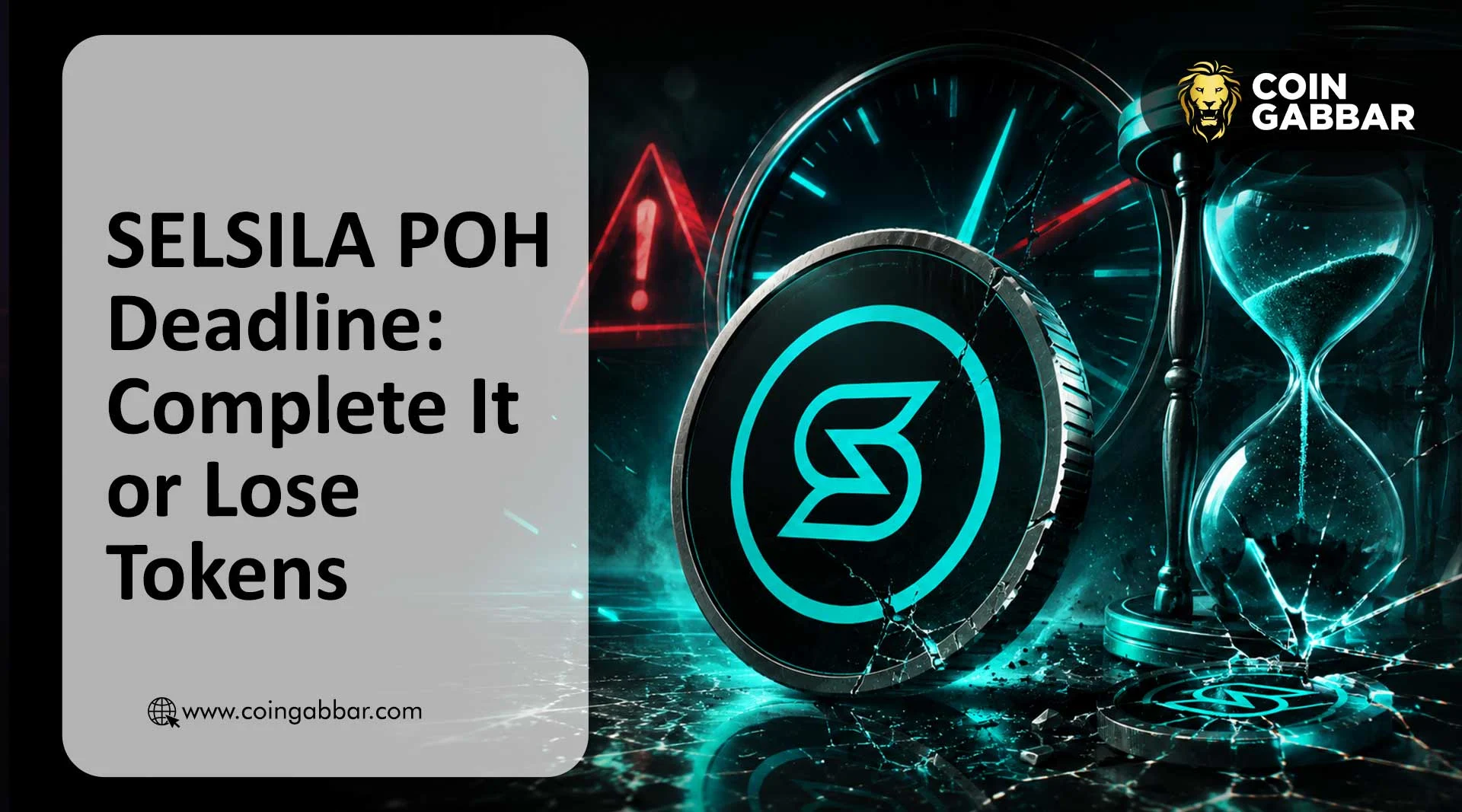 SELSILA Airdrop Alert: Complete POH or Lose Tokens