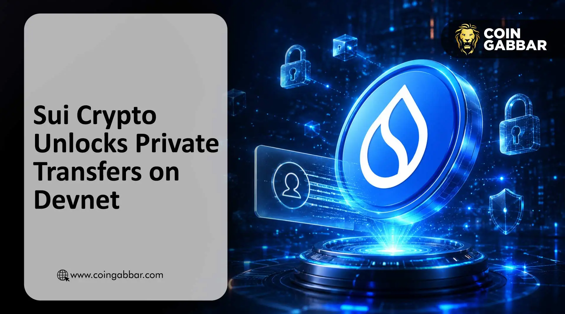 Sui Crypto Unlocks Private Transfers on Devnet