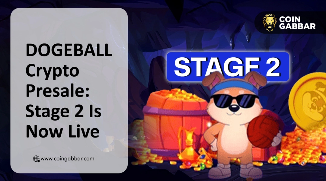 DOGEBALL crypto presale enters in Stage 2