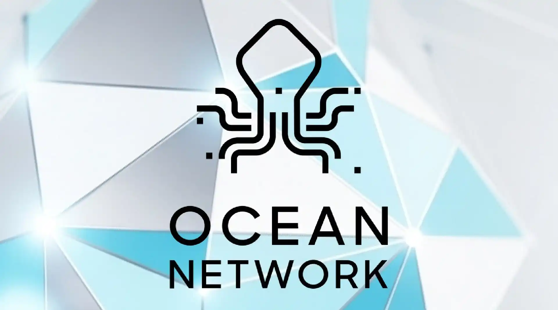 Ocean Network Beta