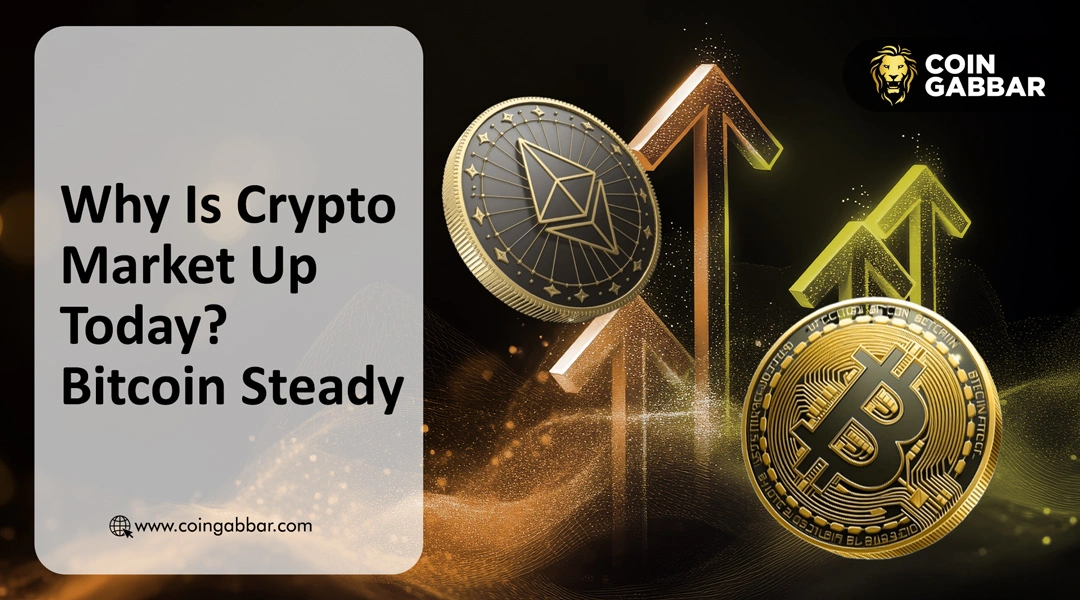 Why Is Crypto Market Up Today? Bitcoin Steady