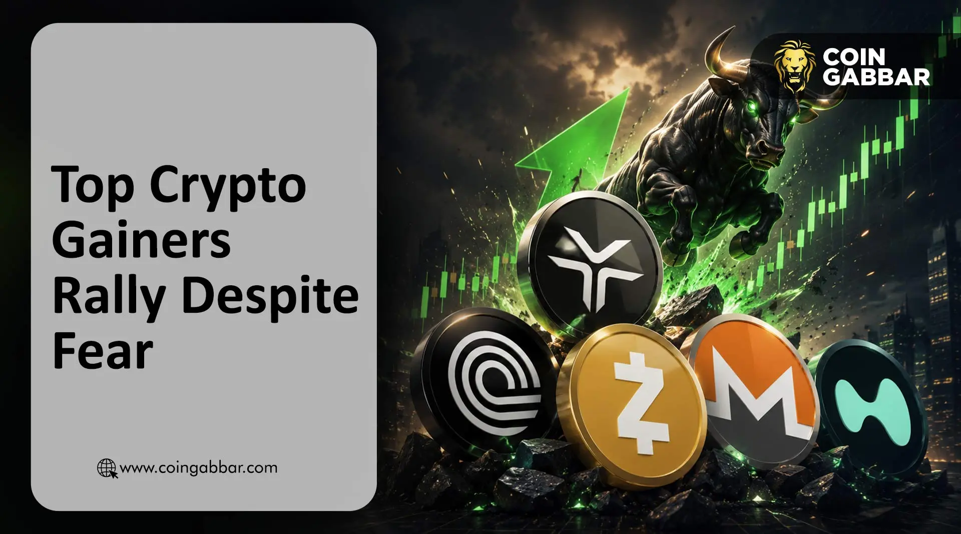 Top Crypto Gainers Rally Despite Fear