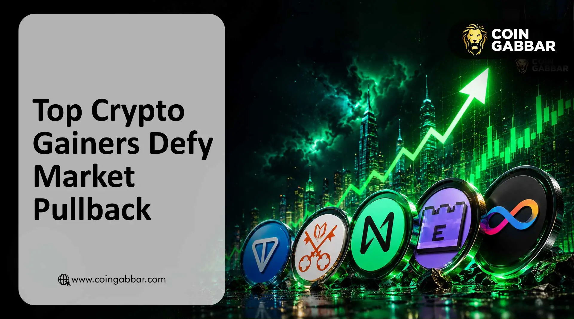 Top Crypto Gainers Defy Market Pullback