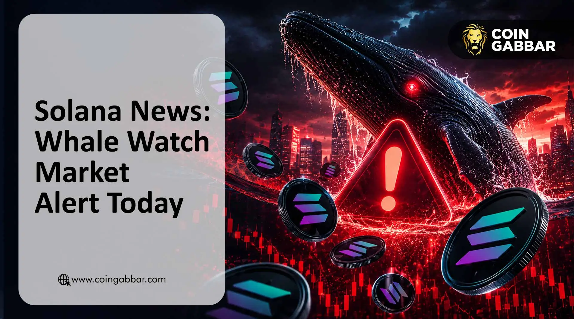 Solana News: Whale Watch Market Alert Today