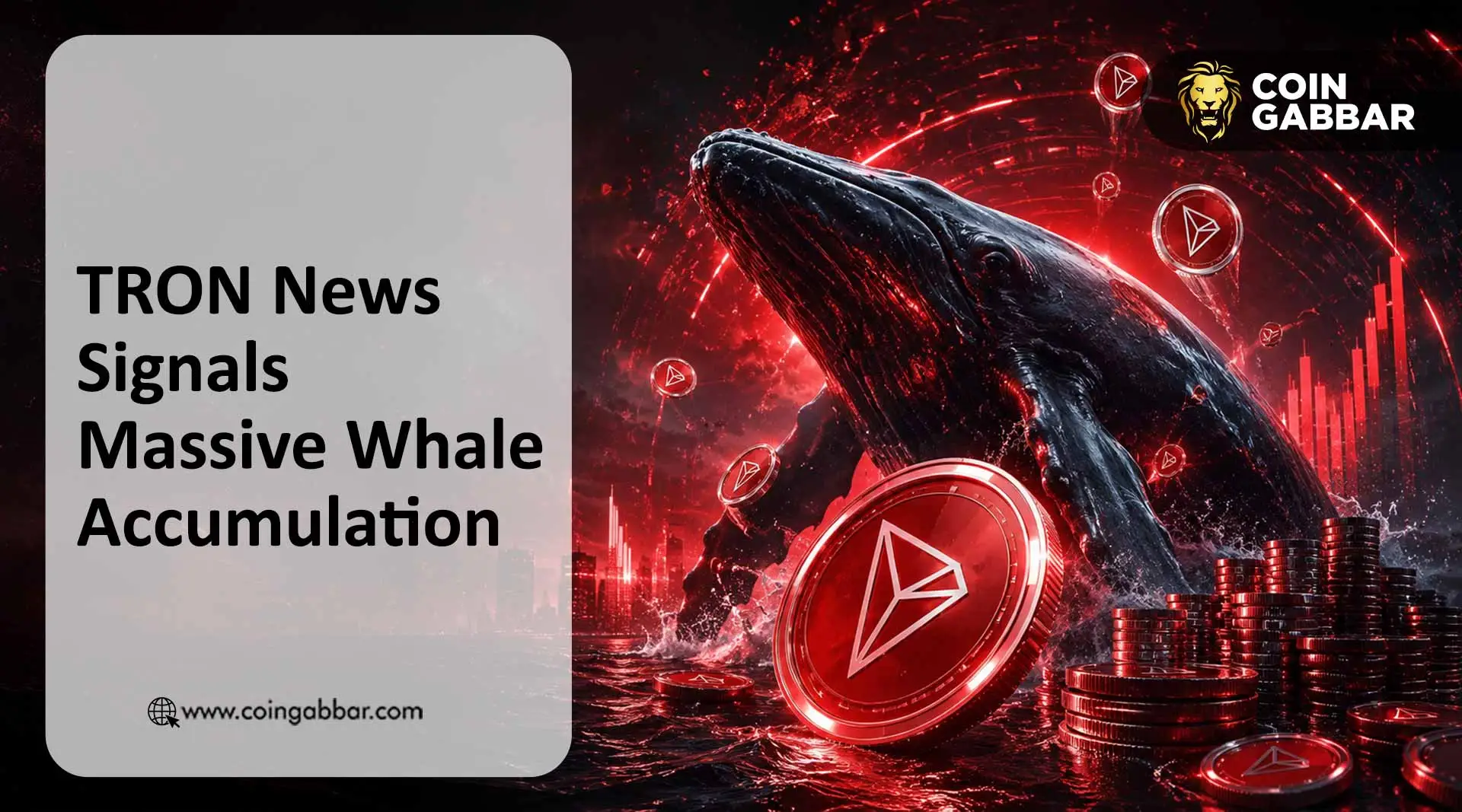 TRON News Signals Massive Whale Accumulation