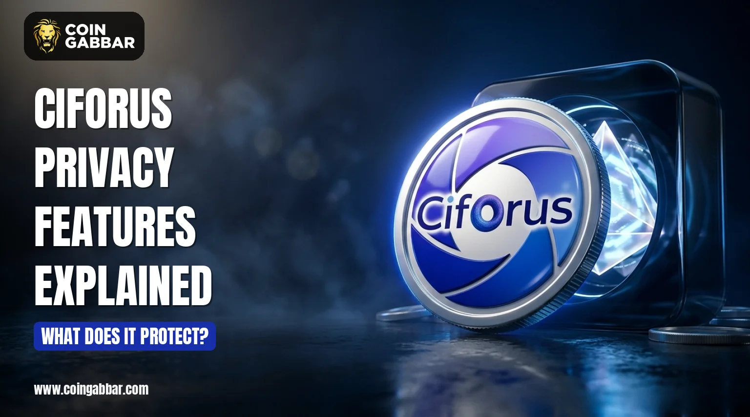 Ciforus Privacy Features Explained: Inside Its Security Model