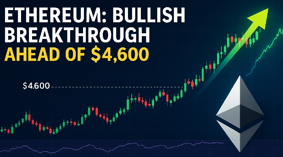 Top New Coins for 100x Gains