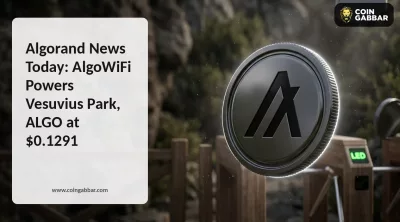 Algorand news today graphic of AlgoWiFi display at Vesuvius National Park