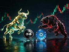 Moonberg Presale Surges
