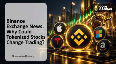 Binance Exchange News USDBRL Perpetual Contract Launch