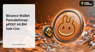 Binance Wallet PancakeSwap: pPOLY $4.8M Sale Live