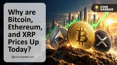 Bitcoin, Ethereum, and XRP Prices Up Today?