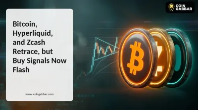 Bitcoin, Hyperliquid, and Zcash Retrace, but Buy Signals Now Flash