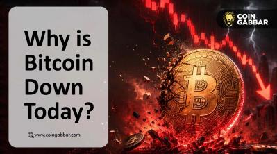 Bitcoin Price Fell as Warsh Speaks at Jackson Hole