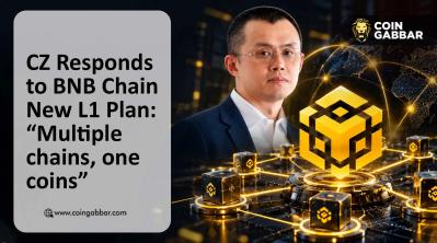 CZ post reacting to BNB Chain new L1 plan: Multiple chains, one coins