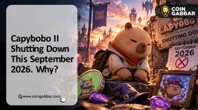 Capybobo Token II Shutting Down This September 2026. Why?