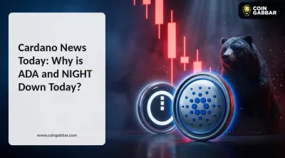 Cardano news today ADA and Midnight NIGHT price crash