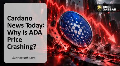 Cardano news today ADA price crash amid active address drop