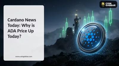 Cardano news today ADA price rally on Research Exchange Reeve