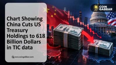 Chart showing China cuts US Treasury holdings to 618 billion dollars in TIC data