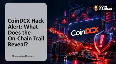 CoinDCX Hack Alert: What Does the On-Chain Trail Reveal?