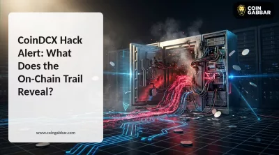 CoinDCX Hack Alert: What Does the On-Chain Trail Reveal?