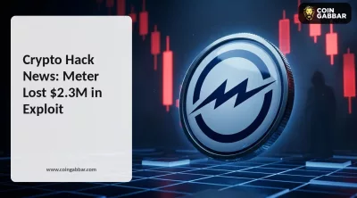 Crypto hack news today Meter Governance MTRG exploit