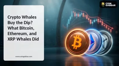 Crypto Whales Buy the Dip? What Bitcoin, Ethereum, and XRP Whales Did