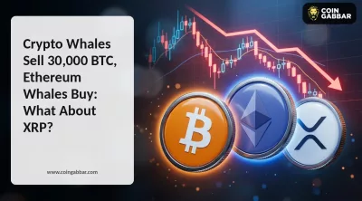 Crypto Whales Sell 30,000 BTC, Ethereum Whales Buy: What About XRP?