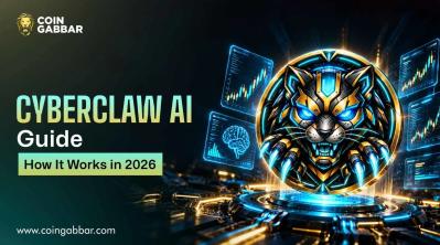 Step by step CyberClaw AI Guide infographic preview