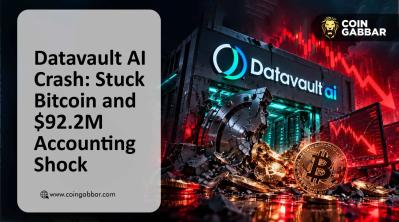 Datavault AI Crash after Bitcoin withdrawal and restatement
