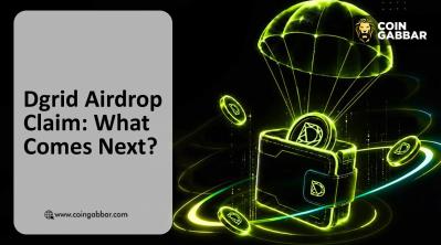 DGrid Airdrop Claim: What Comes Next?