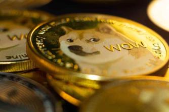 Elon Musk Dogecoin support and meme coin trends