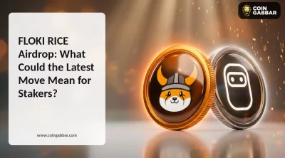 FLOKI RICE Airdrop Round 5 distributed to stakers