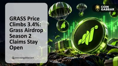 Where The Value Behind GRASS Airdrop Token Actually Go?