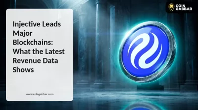 Injective Leads Major Blockchains in Revenue-to-FDV Data